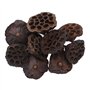 Têtes de Lotus séchées | Tailles allant de 7 cm à 12 cm (Les Produits naturels Peuvent Varier) | Lot de 10