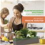 Bio Green Provence - Jardinière Auto-arrosante à 4 Pots à Herbes aromatiques avec indicateur de Niveau d'eau - Jardinière de Reb
