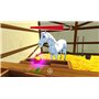 Bibi & Tina Adventures with Horses Nintendo Switch Game