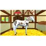 Bibi & Tina Adventures with Horses Nintendo Switch Game