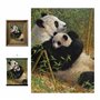 3D LiveLife Affiche Murales Lenticulaires Une Nouvelle Dynastie de Deluxebase. Poster Panda 3D sans Cadre. Décoration Murale Par