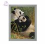 3D LiveLife Affiche Murales Lenticulaires Une Nouvelle Dynastie de Deluxebase. Poster Panda 3D sans Cadre. Décoration Murale Par