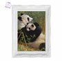 3D LiveLife Affiche Murales Lenticulaires Une Nouvelle Dynastie de Deluxebase. Poster Panda 3D sans Cadre. Décoration Murale Par