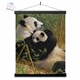 3D LiveLife Affiche Murales Lenticulaires Une Nouvelle Dynastie de Deluxebase. Poster Panda 3D sans Cadre. Décoration Murale Par