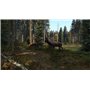 DayZ