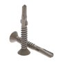 Vis à Métal 6.3mm Autotaraudeuses Torx à Tête Plate Autoperceuse (lot de 100) Utilisation Extérieure Avec Protection Anti-corros