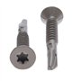 Vis à Métal 6.3mm Autotaraudeuses Torx à Tête Plate Autoperceuse (lot de 100) Utilisation Extérieure Avec Protection Anti-corros