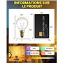 TobeBright Ampoule de Balle de Golf E14 62W, Dimmable Ampoule E14 Globe Blanc Chaud 2700K Ampoule Ronde P45/G45 Petit Culot à Vi
