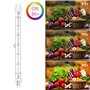 DoRight 500W R7s Ampoule Halogène 118mm Dimmable Blanc Chaud 2800K J118 Projecteur Halogène Linéaire AC 220-240V 11000lm Angle d