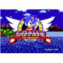 Sonic Mega collection [import anglais]