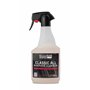 ValetPRO iC4–500 ML All Purpose Classic Cleaner