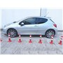 SNS SAFETY LTD Poteaux Flexibles 45 cm (pack de 2)