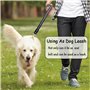 MOLHEM Lot de 2 ceintures de sécurité pour chien - Harnais de sécurité élastique réglable pour voiture - Laisse rembourrée élast