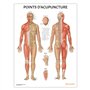 Anatomy Stuff Points D'acupuncture Poster Français 45 x 60 cm 18 x 24 pouces Acupuncture Points Diagramme