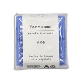 carrés fondant pour brûle parfum FANTASME