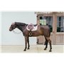 Kentucky Horsewear - Tapis de selle avec corde tressée - Chabraque - Saut - rose clair