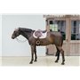 Kentucky Horsewear - Tapis de selle avec corde tressée - Chabraque - Saut - rose clair