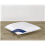 De Witte Lietaer Ducky Oreiller Naturel Duvet Blanc 60x60 cm