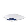 De Witte Lietaer Ducky Oreiller Naturel Duvet Blanc 60x60 cm