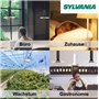Sylvania Lynx CF de Lampe fluocompacte d 10 W/840 Blanc