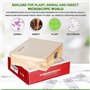 AmScope - Lot de 25 Lames Prepares en Verre pour Microscope, Avec Boite en Bois, 25 pc Sample Slide Biology Set - PS25W