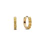 Boucles d´oreilles Femme Pandora 263849C01
