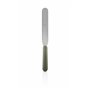 Eva Solo | Outils verts Spatule | Ustensiles de cuisine résistants à la chaleur sans BPA | Retourner ou retirer parfaitement les