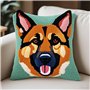 Latch Hook Kits Dalmatien Spawn Diy Housse De Coussin Housse De Coussin Housse De Coussin Broderie Craft Kit Pour Adultes Et Déb
