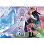 Disney La Reine des neiges 2
