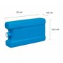 BranQ - Home essential PP 5901098169127 Insert de Refroidissement Universel réutilisable en Plastique sans BPA pour Sac Isotherm