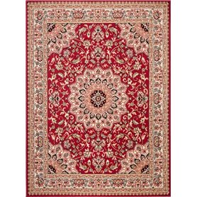 Mazovia Tapis Salon Moderne Oriental Motif - Tapis Grande Taille de Chambre à Poils Ras - Moquette Tapis pour Le Salon et la Cha