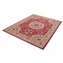 Mazovia Tapis Salon Moderne Oriental Motif - Tapis Grande Taille de Chambre à Poils Ras - Moquette Tapis pour Le Salon et la Cha