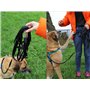 Dingo Ceinture de Marche pour Chien avec Amortisseur, Grand Mousqueton pour excès de Laisse enroulée, Laisse de 6 mètres de Long