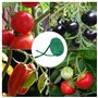 JUJNE Corde de jardin pour plantes - Attache pour arbre - Outil de fixation pour jardin, bureau et maison