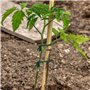 JUJNE Corde de jardin pour plantes - Attache pour arbre - Outil de fixation pour jardin, bureau et maison