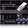Effecteur numérique KTV, Processeur Audio Anti-Howling Supprim, Suppresseur de rétroaction Professionnelle, USB MP3 Bluetooth, 4
