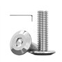 Lot de 30 vis à tête bombée M6 x 16 mm - Entraînement Torx - En acier inoxydable - Pour applications universelles (avec embout à