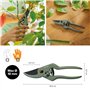 Urban Plant Care