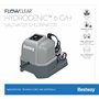 Bestway Flowclear Chlorinateur D’Eau Salée Hydrogenic 6 G/H