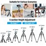SIRUI Mini Trépied de Bureau Compact, 20'' Petit Trépied de Table Portable en Aluminium avec Rotule à 360°, Charge jusqu'à 22lbs