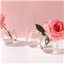 Magic Season Bouteilles en Verre Décoratives avec Bouchons en Liège (100 ml Bouteilles Sphériques / 6 Pièces)