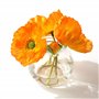 Magic Season Bouteilles en Verre Décoratives avec Bouchons en Liège (100 ml Bouteilles Sphériques / 6 Pièces)