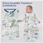 Duomiaomiao Gigoteuse d'été pour bébé 0,5 tog - 100 % coton - Couverture portable unisexe pour nouveau-né de 0 à 6 mois - Dinosa