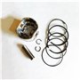 ZAPYVET Kit de piston EX13 58 mm