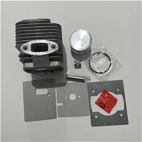 ZAPYVET Ensemble Piston Cylindre