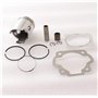 ZAPYVET Kit de roulement à Aiguilles de Joint d'anneaux de Piston de Moteur de Moto de 47mm, for PW80 PW 80 Peewee y-Zinger Dirt