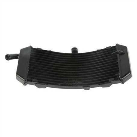 ZAPYVET Système de Refroidissement de radiateur de Moteur de Moto