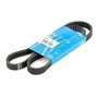 SKF VKMV 5PK1121 Courroie Multi-V