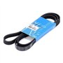 SKF VKMV 5PK1811 Courroie Multi-V