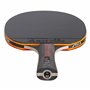 Revêtements STAR5 approuvés par l'ITTF
